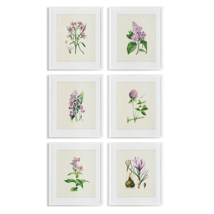 Six-piece vintage botanical wall art set with lavender-themed florals in a white grid frame display.