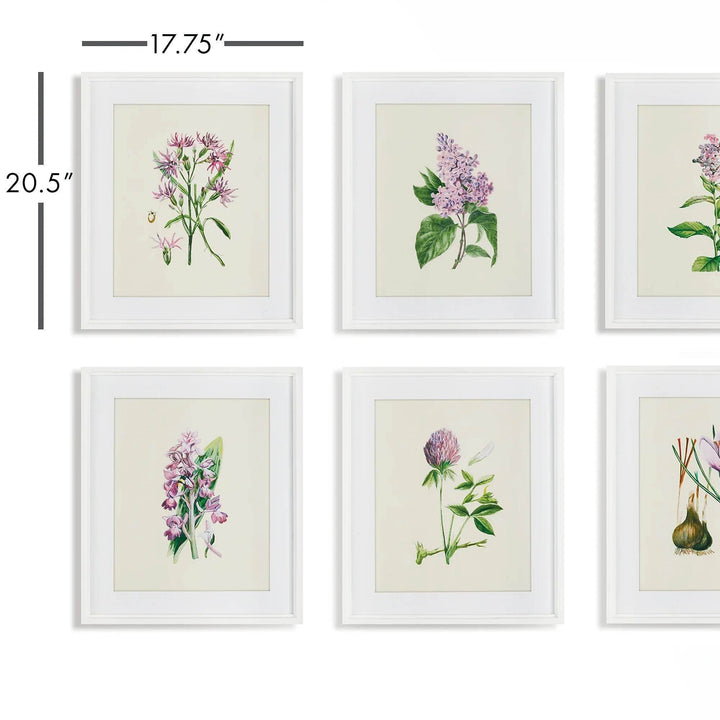 Dimension graphic for vintage botanical wall art set showing each white-framed floral print at 17.75x20.5 inches.