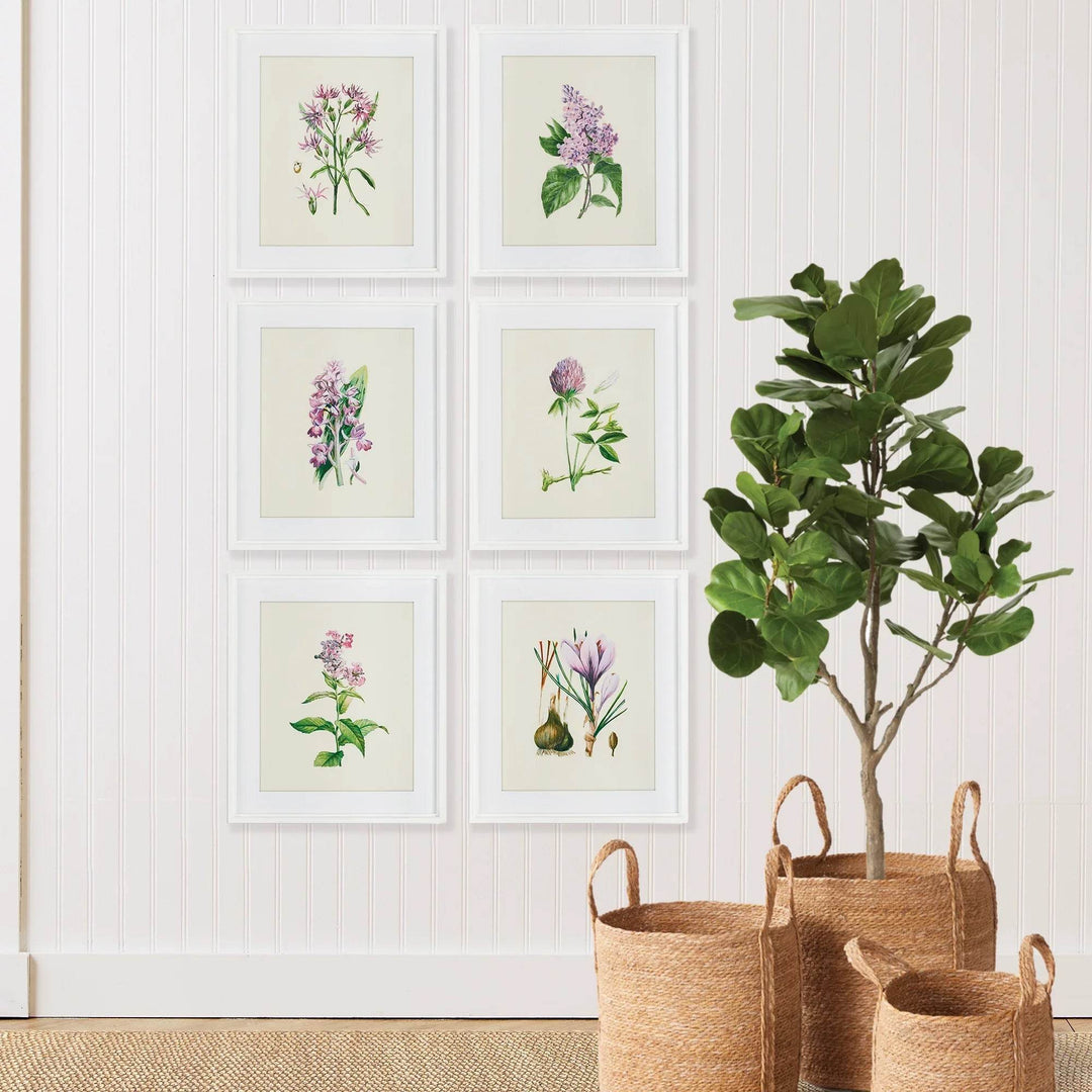 Vertical arrangement of vintage botanical floral prints hung beside indoor fiddle leaf tree in neutral entryway.
