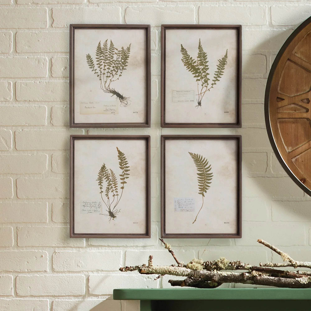 Vintage fern botanical prints set of four styled on wall above green console, ideal for powder room or entryway decor.

