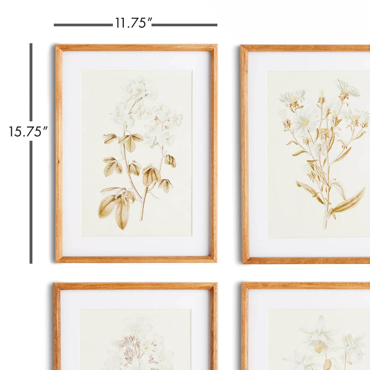 Dimensional reference showing one framed floral print at 11.75 x 15.75 inches with portrait orientation.

