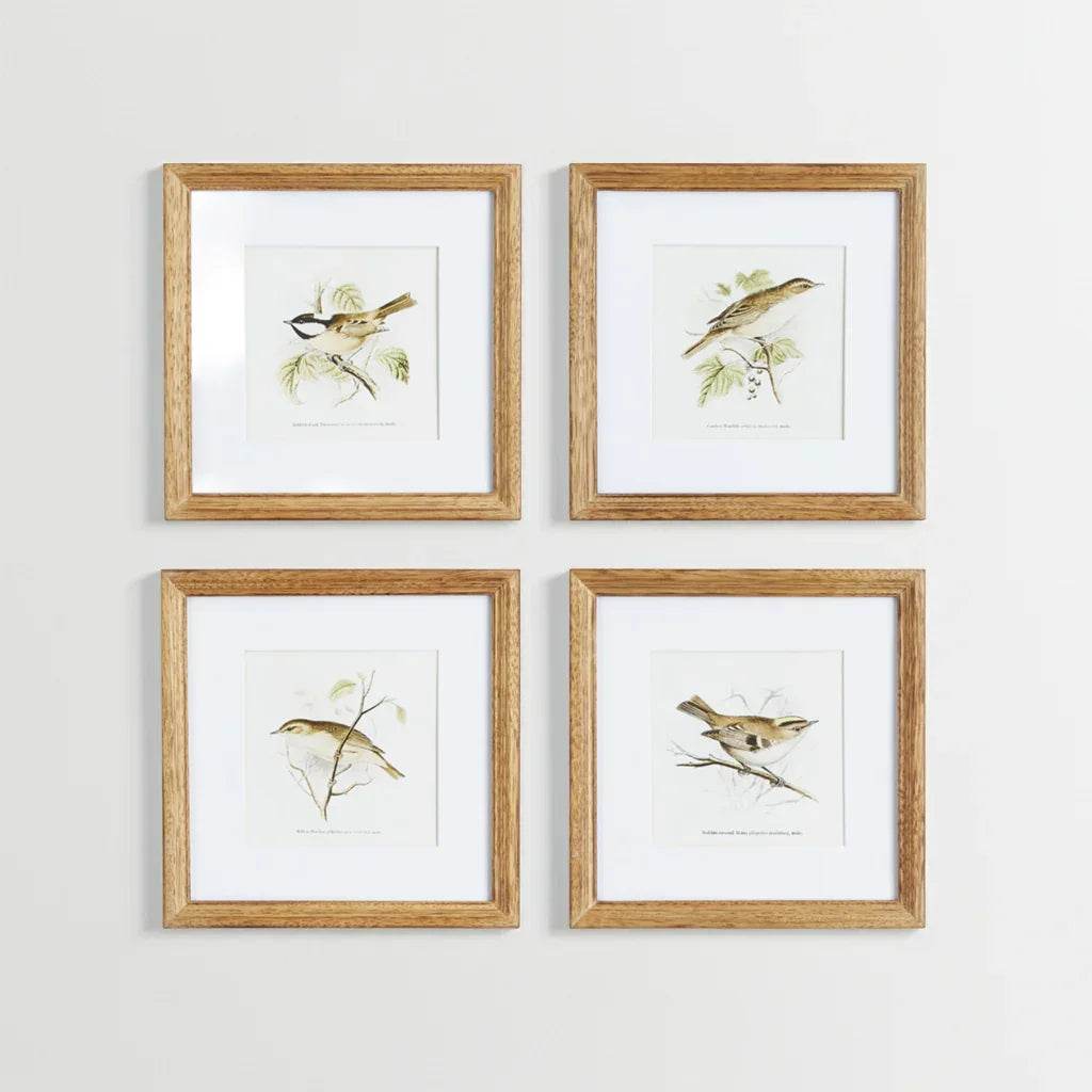 Close-up of four square bird art prints in warm oak-colored frames