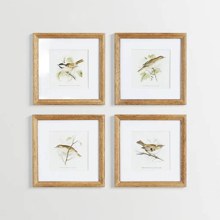 Close-up of four square bird art prints in warm oak-colored frames
