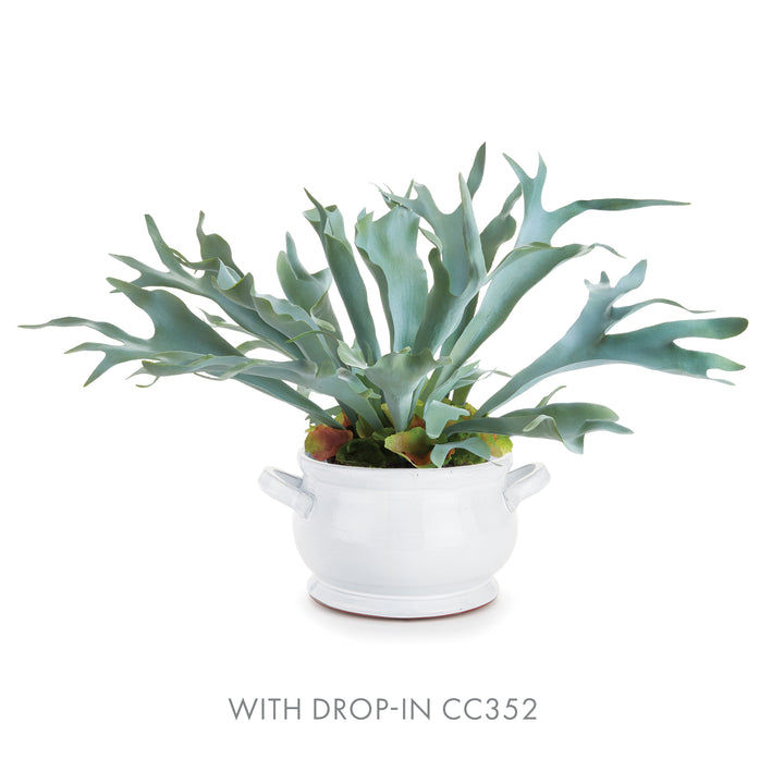 White ceramic footed bowl holding a broad green fern arrangement, shown with a printed plant pairing caption - Traditional