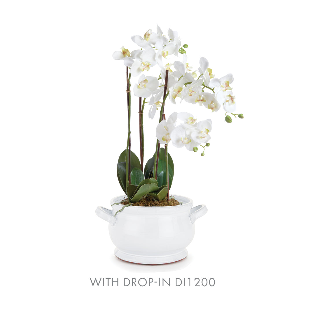 White ceramic footed bowl styled with white orchid stems and green leaves, shown as a decorative display idea - Traditional