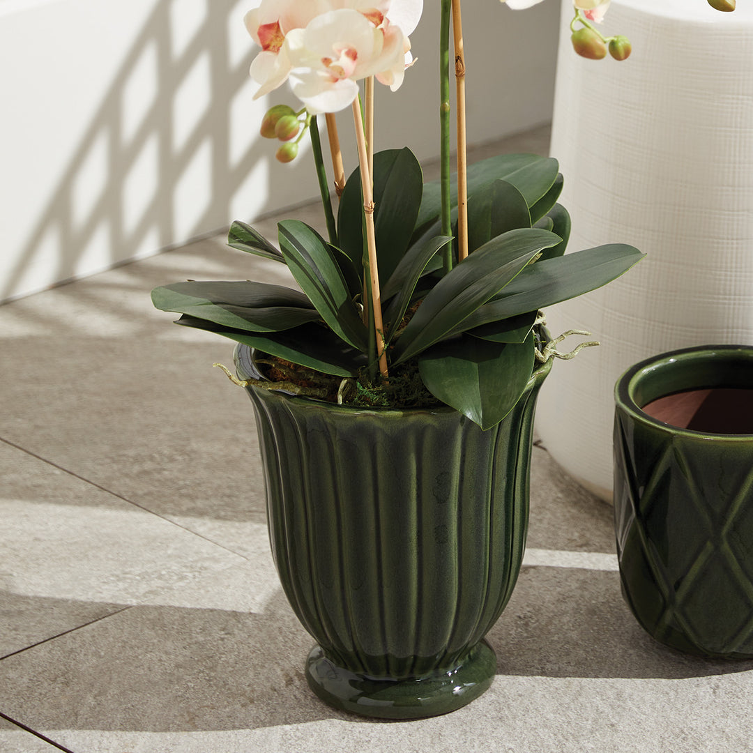 White fluted ceramic planter pots styled with orchids and greenery beside woven accents in a bright interior – Transitional style.
