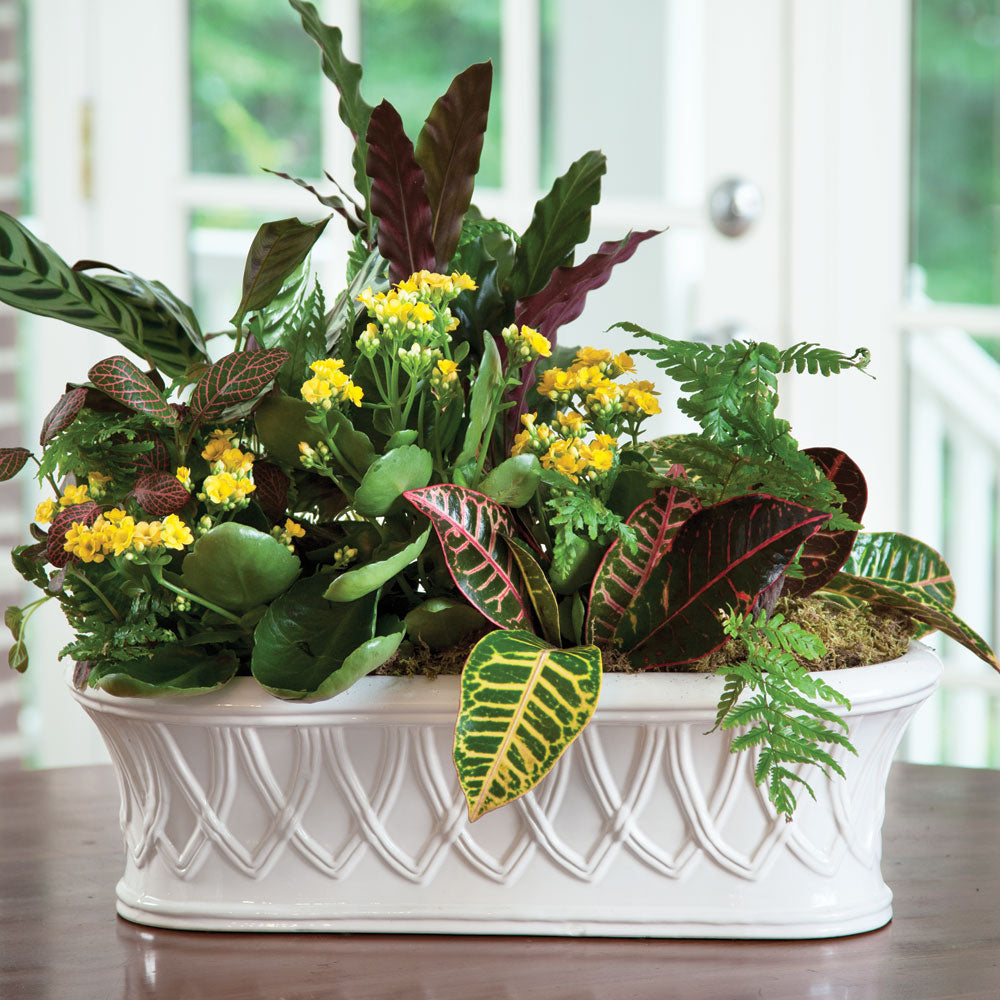White oblong ceramic cachepot holding a mixed arrangement of green leaves and small yellow blooms in a room, Traditional