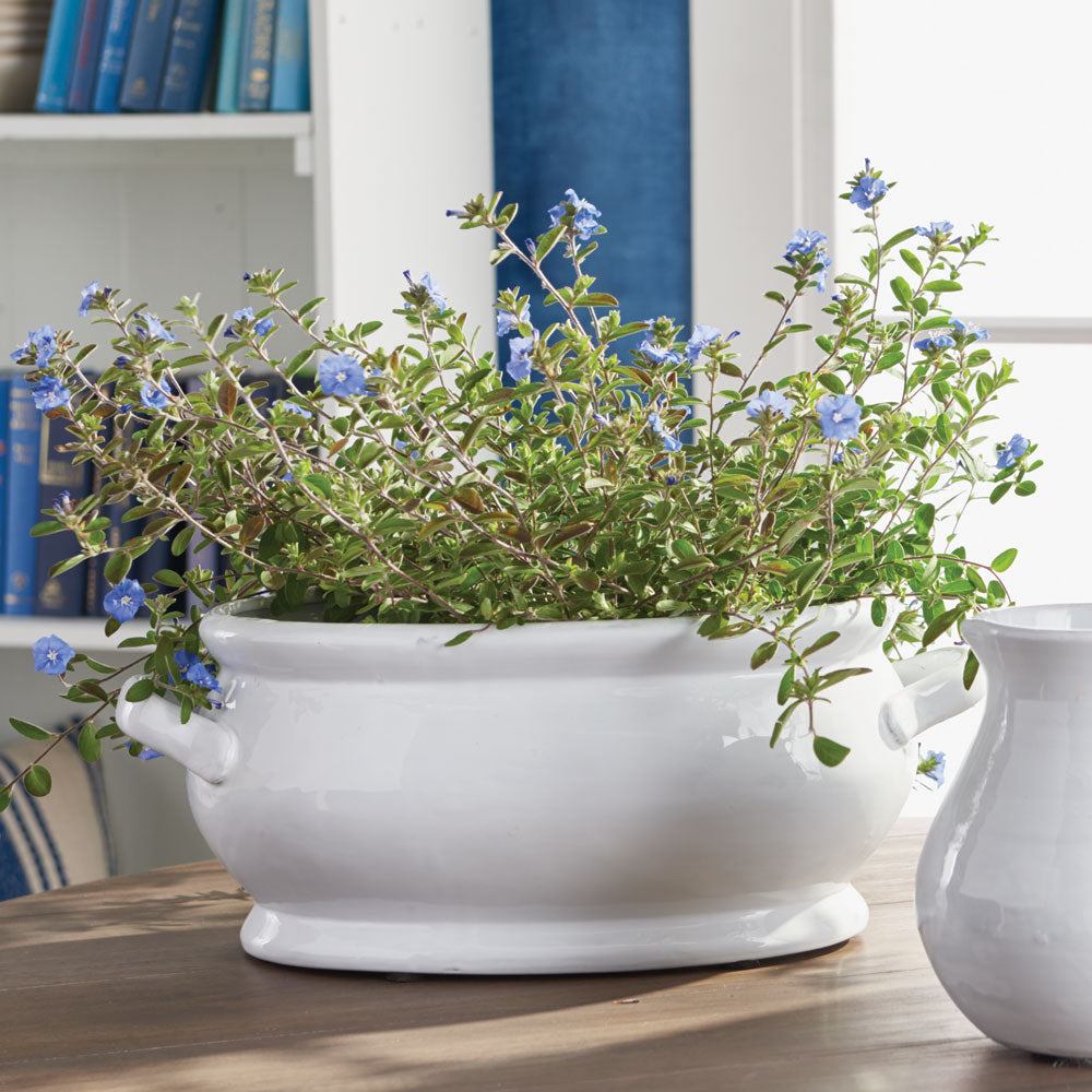 White oval ceramic cachepot styled with blue flowers and green foliage on a wood table beside a white pitcher - Traditional