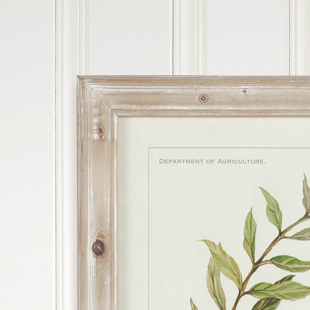 Close-up of distressed whitewashed frame corner showing rustic finish and partial view of olive illustration.