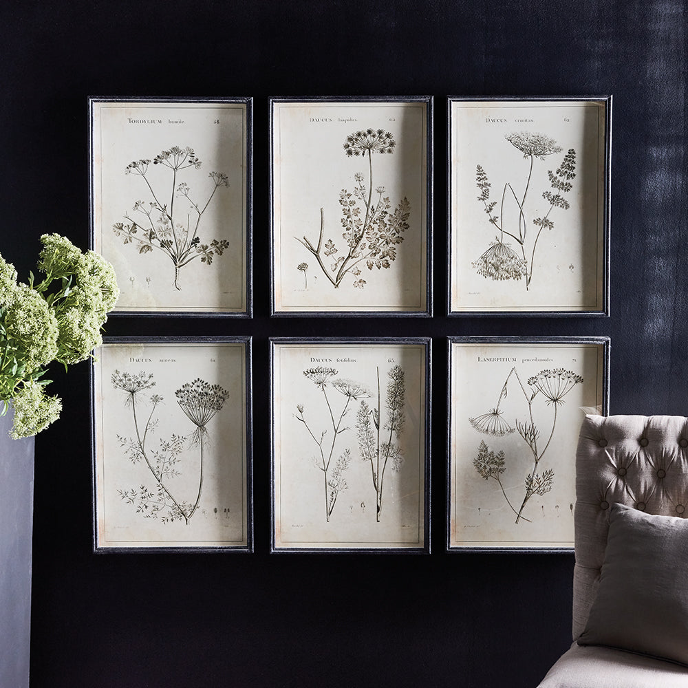 Wildflower art prints in black frames arranged in a cozy gallery wall setting with dark walls and green florals.