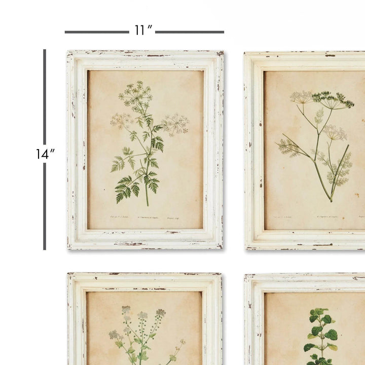 Close-up of framed wildflower botanical prints with size specs in a vintage cottagecore style.
