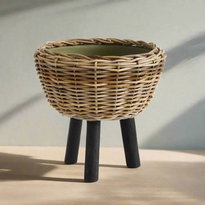 Modern organic rattan plant stand with black legs in sunlight on hardwood floor
