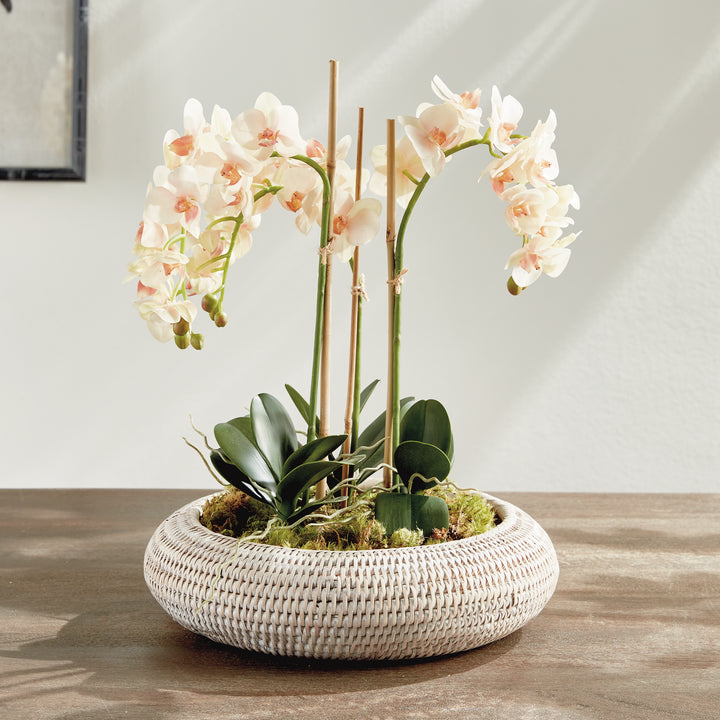 Whitewash rattan shallow display bowl holding an orchid arrangement with green leaves on a tabletop - Coastal Transitional