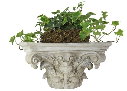 Antique white French Capital wall planter shelf with sculptural detail, perfect for outdoor garden or indoor classic decor settings.


